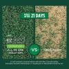 imageScotts EZ Seed Patch and Repair Tall Fescue Lawns 375 lb  Combination Mulch Seed and Fertilizer  Tackifier Reduces Seed WashAway  Mix Covers up to 85 sq ft375 lb