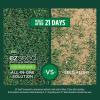 imageScotts EZ Seed Patch and Repair Tall Fescue Lawns 375 lb  Combination Mulch Seed and Fertilizer  Tackifier Reduces Seed WashAway  Mix Covers up to 85 sq ft40 lb