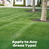 imageScotts Liquid Turf Builder 2 Step LawnCare with Plus 2 Weed Control and Food LiquidWeed and Feed and Fertilizer 32 ozLiquid Bundle