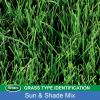 imageScotts Turf Builder Grass Seed Sun ampamp Shade Mix with Fertilizer and Soil Improver Thrives in Many Conditions 32 lbs15 lb