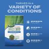 imageScotts Turf Builder Grass Seed Sun ampamp Shade Mix with Fertilizer and Soil Improver Thrives in Many Conditions 32 lbs24 lb