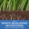 imageScotts Turf Builder Grass Seed Sun ampamp Shade Mix with Fertilizer and Soil Improver Thrives in Many Conditions 32 lbs56 lb