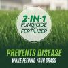 imageScotts Turf Builder Healthy Plus Lawn Food 2in1 Fungicide and Fertilizer Helps Grass Withstand Summer Stress 8000 sq ft 2740 lbs4 000 sq ft