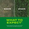 imageScotts Turf Builder Rapid Grass Sun ampamp Shade Mix Combination Seed and Fertilizer Grows Green Grass in Just Weeks 56 lbs16 lb