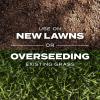 imageScotts Turf Builder Rapid Grass Sun ampamp Shade Mix Combination Seed and Fertilizer Grows Green Grass in Just Weeks 56 lbs16 lb