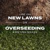 imageScotts Turf Builder Rapid Grass Tall Fescue Mix Combination Seed and Fertilizer Grows Green Grass in Just Weeks 56 lbs16 lb