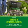 imageScotts Turf Builder Rapid Grass Tall Fescue Mix Combination Seed and Fertilizer Grows Green Grass in Just Weeks 56 lbs16 lb