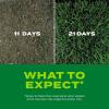 imageScotts Turf Builder Rapid Grass Tall Fescue Mix Combination Seed and Fertilizer Grows Green Grass in Just Weeks 56 lbs56 lb