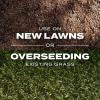 imageScotts Turf Builder Rapid Grass Tall Fescue Mix Combination Seed and Fertilizer Grows Green Grass in Just Weeks 56 lbs56 lb