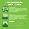 imageScotts Turf Builder Starter Fertilizer for New Grass Use When Planting Seed 5000 sq ft 15 lbsLiquid Starter Lawn Fertilizer