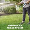 imageScotts Turf Builder Starter Fertilizer for New Grass Use When Planting Seed 5000 sq ft 15 lbsLiquid Starter Lawn Fertilizer