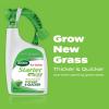 imageScotts Turf Builder Starter Fertilizer for New Grass Use When Planting Seed 5000 sq ft 15 lbsLiquid Starter Lawn Fertilizer