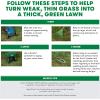 imageScotts Turf Builder THICKR LAWN Grass Seed Fertilizer and Soil Improver for Bermudagrass 1200 sq ft 12 lbs40 lb