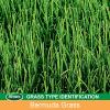 imageScotts Turf Builder THICKR LAWN Grass Seed Fertilizer and Soil Improver for Bermudagrass 1200 sq ft 12 lbs5 lb