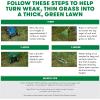 imageScotts Turf Builder THICKR LAWN Grass Seed Fertilizer and Soil Improver for Sun ampamp Shade 1200 sq ft 12 lbsThickR 1 Pack