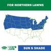 imageScotts Turf Builder THICKR LAWN Grass Seed Fertilizer and Soil Improver for Sun ampamp Shade 1200 sq ft 12 lbsThickR 1 Pack
