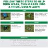 imageScotts Turf Builder THICKR LAWN Grass Seed Fertilizer and Soil Improver for Tall Fescue 1200 sq ft 12 lbs40 lb