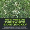 imageScotts Turf Builder Triple Action Built For Seeding  Weed Preventer and Fertilizer for New Lawns 1000 sq ft 43 lbs4 000 sq ft