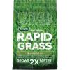 imageScotts Turf Builder Rapid Grass Tall Fescue Mix Combination Seed and Fertilizer Grows Green Grass in Just Weeks 56 lbs16 lb