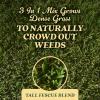 imageOM Scott and Sons Tall Fescue Blend Grass Seed Fertilizer and Soil Improver Naturally Crowds Out Weeds Covers Up to 2000 sq ft 8 lbs1 Pack