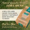 imageOM Scott and Sons Tall Fescue Blend Grass Seed Fertilizer and Soil Improver Naturally Crowds Out Weeds Covers Up to 2000 sq ft 8 lbs1 Pack