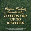 imageOM Scott and Sons Tall Fescue Blend Grass Seed Fertilizer and Soil Improver Naturally Crowds Out Weeds Covers Up to 2000 sq ft 8 lbs1 Pack