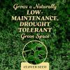 imageOM Scott and Sons Tall Fescue Blend Grass Seed Fertilizer and Soil Improver Naturally Crowds Out Weeds Covers Up to 2000 sq ft 8 lbs1 Pack