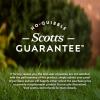 imageOM Scott and Sons Tall Fescue Blend Grass Seed Fertilizer and Soil Improver Naturally Crowds Out Weeds Covers Up to 2000 sq ft 8 lbs2 Pack