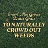 imageOM Scott and Sons Tall Fescue Blend Grass Seed Fertilizer and Soil Improver Naturally Crowds Out Weeds Covers Up to 2000 sq ft 8 lbs2 Pack
