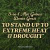 imageOM Scott and Sons Tall Fescue Blend Grass Seed Fertilizer and Soil Improver Naturally Crowds Out Weeds Covers Up to 2000 sq ft 8 lbs2 Pack