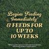 imageOM Scott and Sons Tall Fescue Blend Grass Seed Fertilizer and Soil Improver Naturally Crowds Out Weeds Covers Up to 2000 sq ft 8 lbs2 Pack
