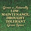 imageOM Scott and Sons Tall Fescue Blend Grass Seed Fertilizer and Soil Improver Naturally Crowds Out Weeds Covers Up to 2000 sq ft 8 lbs2 Pack