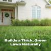 imageScotts Natural Lawn Food Lawn Fertilizer For All Grass Types Apply Any Season OMRI Listed Covers 4000 sq ft 291 lbs2 Pack