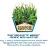 imageScotts WeedEx Prevent with Halts Crabgrass Preventer PreEmergent Grassy Weed Killer 5000 sq ft 1006 lbs