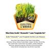 imageScotts DiseaseEx Lawn Fungicide Controls and Prevents Disease Up to 4 Weeks Treats Up to 5000 sq ft 10 lbs10 lbsPack of 3
