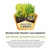 imageScotts DiseaseEx Lawn Fungicide Controls and Prevents Disease Up to 4 Weeks Treats Up to 5000 sq ft 10 lbs5 000 sq ft