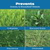 imageScotts Turf Builder Halts Crabgrass Preventer with Lawn Food  PreEmergent Weed Killer Fertilizer 14000 sq ft 3738 lb5 000 sq ft  2 Pack