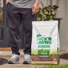 imageScotts EZ Seed Patch ampamp Repair Southern Gold Blend for Tall Fescue Lawns Mulch Grass Seed and Fertilizer for Bare Spots and Repair Bred for The South 20 lbs40 lb