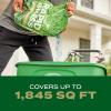 imageScotts EZ Seed Patch ampamp Repair Southern Gold Blend for Tall Fescue Lawns Mulch Grass Seed and Fertilizer for Bare Spots and Repair Bred for The South 20 lbs56 lb