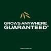 imageScotts EZ Seed Patch ampamp Repair Southern Gold Blend for Tall Fescue Lawns Mulch Grass Seed and Fertilizer for Bare Spots and Repair Bred for The South 20 lbs20 lb