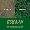 imageScotts EZ Seed Patch ampamp Repair Southern Gold Blend for Tall Fescue Lawns Mulch Grass Seed and Fertilizer for Bare Spots and Repair Bred for The South 20 lbs56 lb
