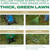 imageScotts EZ Seed Patch ampamp Repair Southern Gold Blend for Tall Fescue Lawns Mulch Grass Seed and Fertilizer for Bare Spots and Repair Bred for The South 20 lbs40 lb