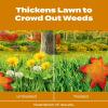 imageScotts Turf Builder WinterGuard Fall Weed ampamp Feed3 Weed Killer Plus Fall Fertilizer 4000 sq ft 1143 lbs