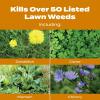 imageScotts Turf Builder WinterGuard Fall Weed ampamp Feed3 Weed Killer Plus Fall Fertilizer 4000 sq ft 1143 lbs