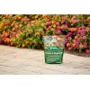 imageScotts All Purpose Flower and Vegetable Continuous Release Plant Food For Outdoor InGround Plants 3 lb3 lb