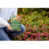 imageScotts All Purpose Flower and Vegetable Continuous Release Plant Food For Outdoor InGround Plants 3 lb3 lb